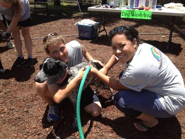 The impact of Rainbow Friends on the local community and animal welfare efforts in Hawaii.