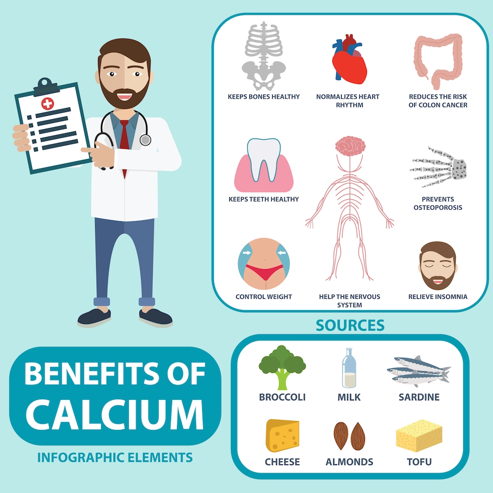 Calcium's Role in Muscle Function and Nerve Transmission