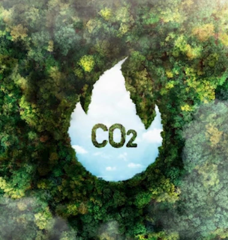İklim Değişikliği ve Karbon Ayak İzi Azaltma Çalışmaları