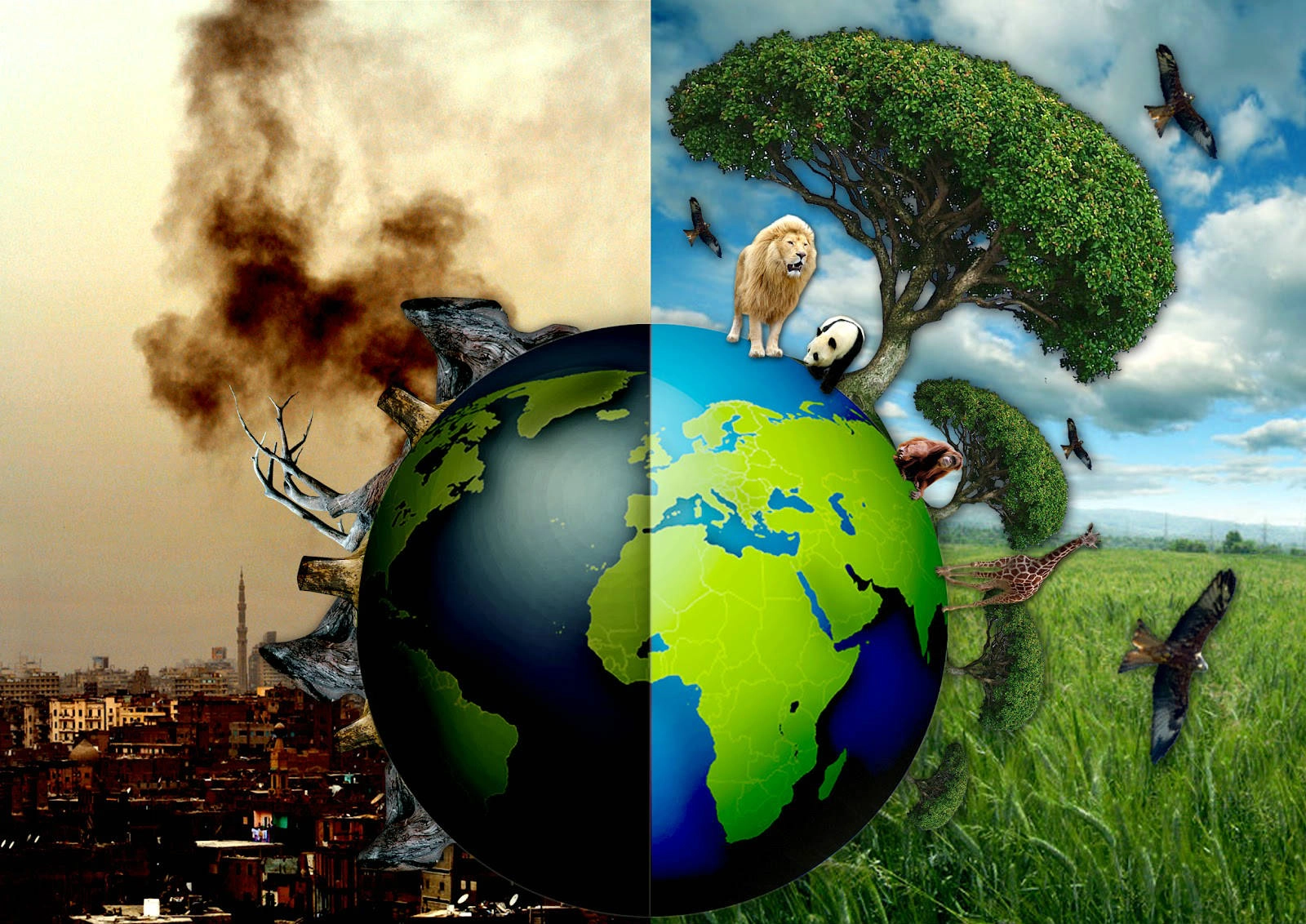 Çevre ve İklim Aktivizmi