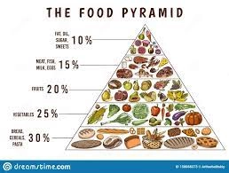 How to Use the Food Pyramid to Plan a Balanced Diet