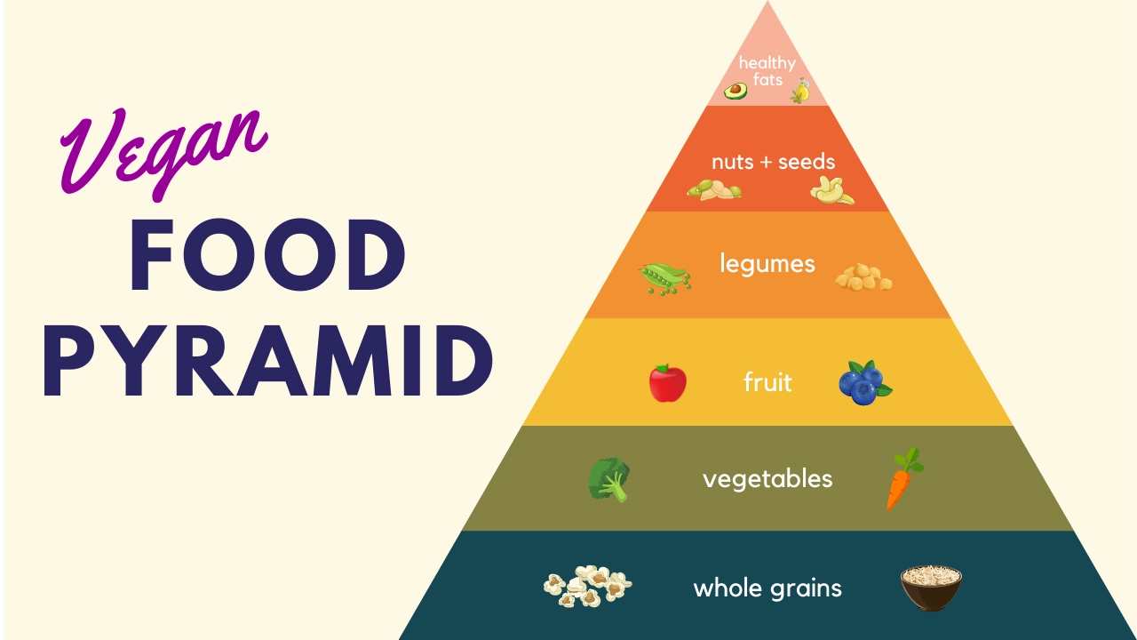 What is the Food Pyramid and Why is it Important?