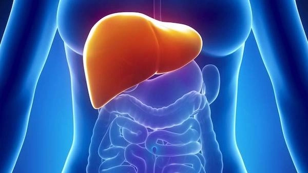 Medical Treatments for Non-Alcoholic Fatty Liver Disease