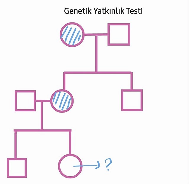 Making Informed Decisions About Genetic Testing for Cancer Risk