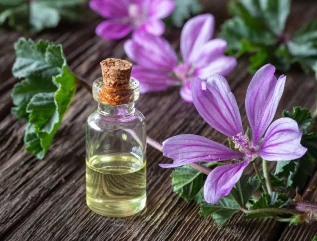 Skin benefits of hibiscus oil