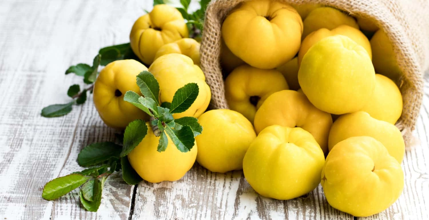 Health Benefits of Quince Fruit