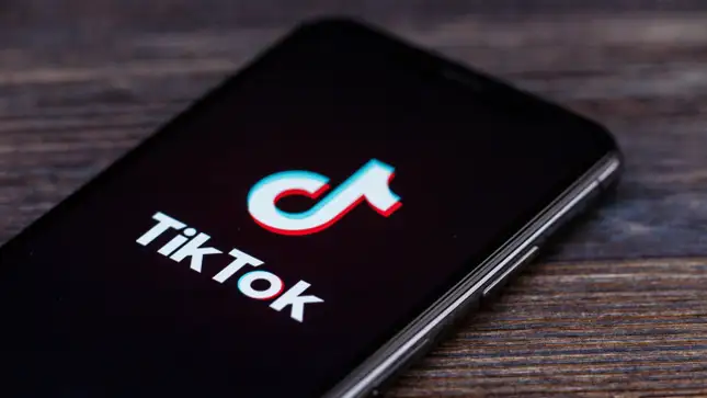 How Tako the Chatbot Will Enhance TikTok's User Experience