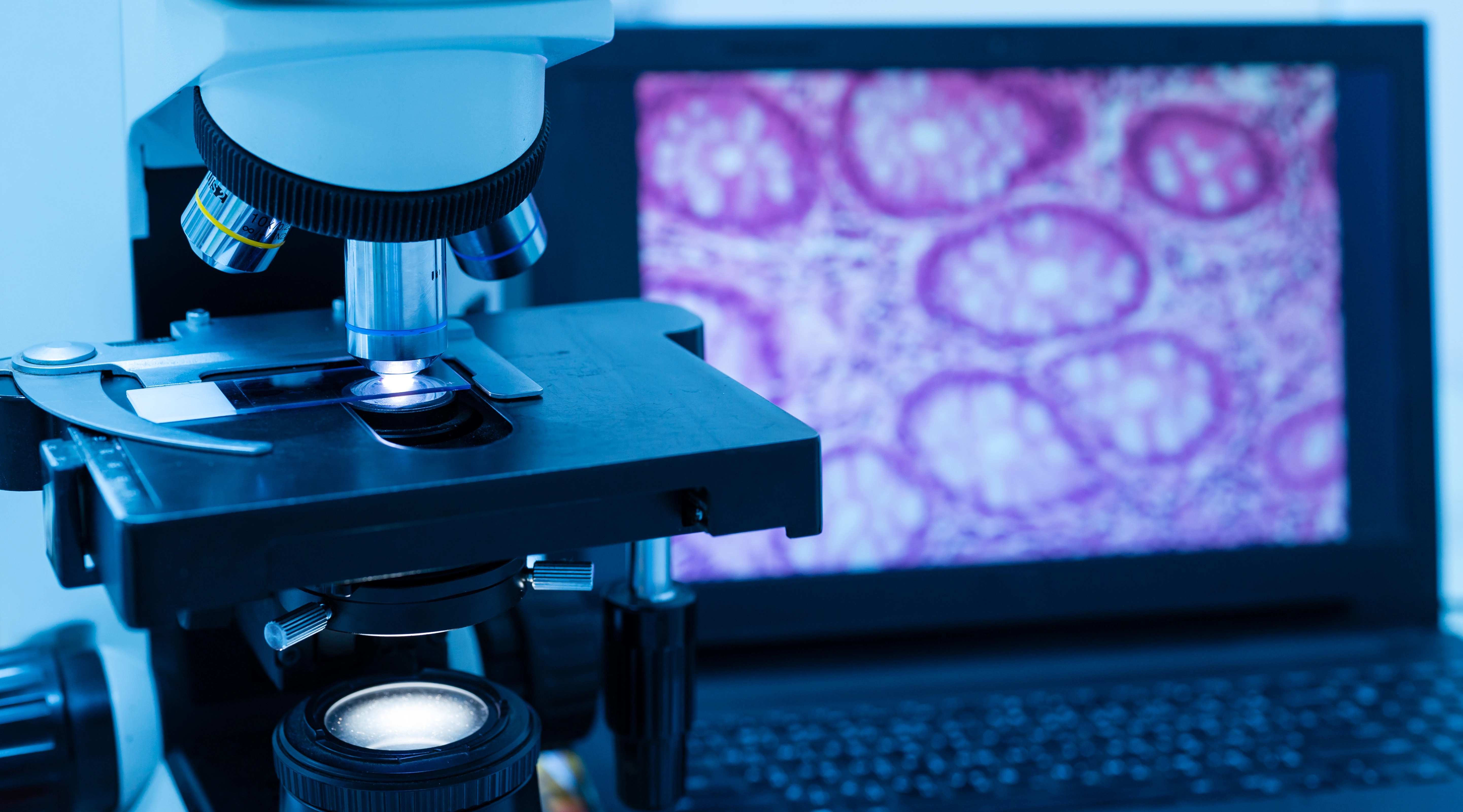 What is Pathology and its Role in Medical Diagnosis?
