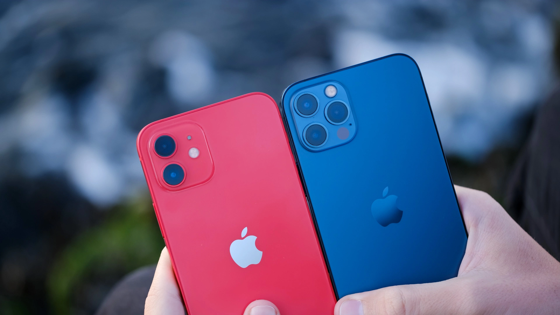 Comparing iPhone 12 and iPhone 16 Camera Features and Capabilities