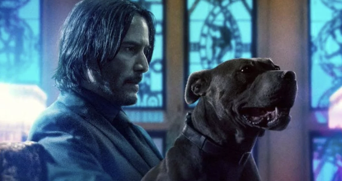 Fans eagerly await new plot details and action-packed scenes in upcoming John Wick film