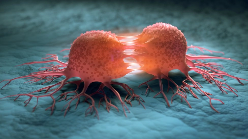 Promising research and advancements in the fight against rapidly spreading cancers