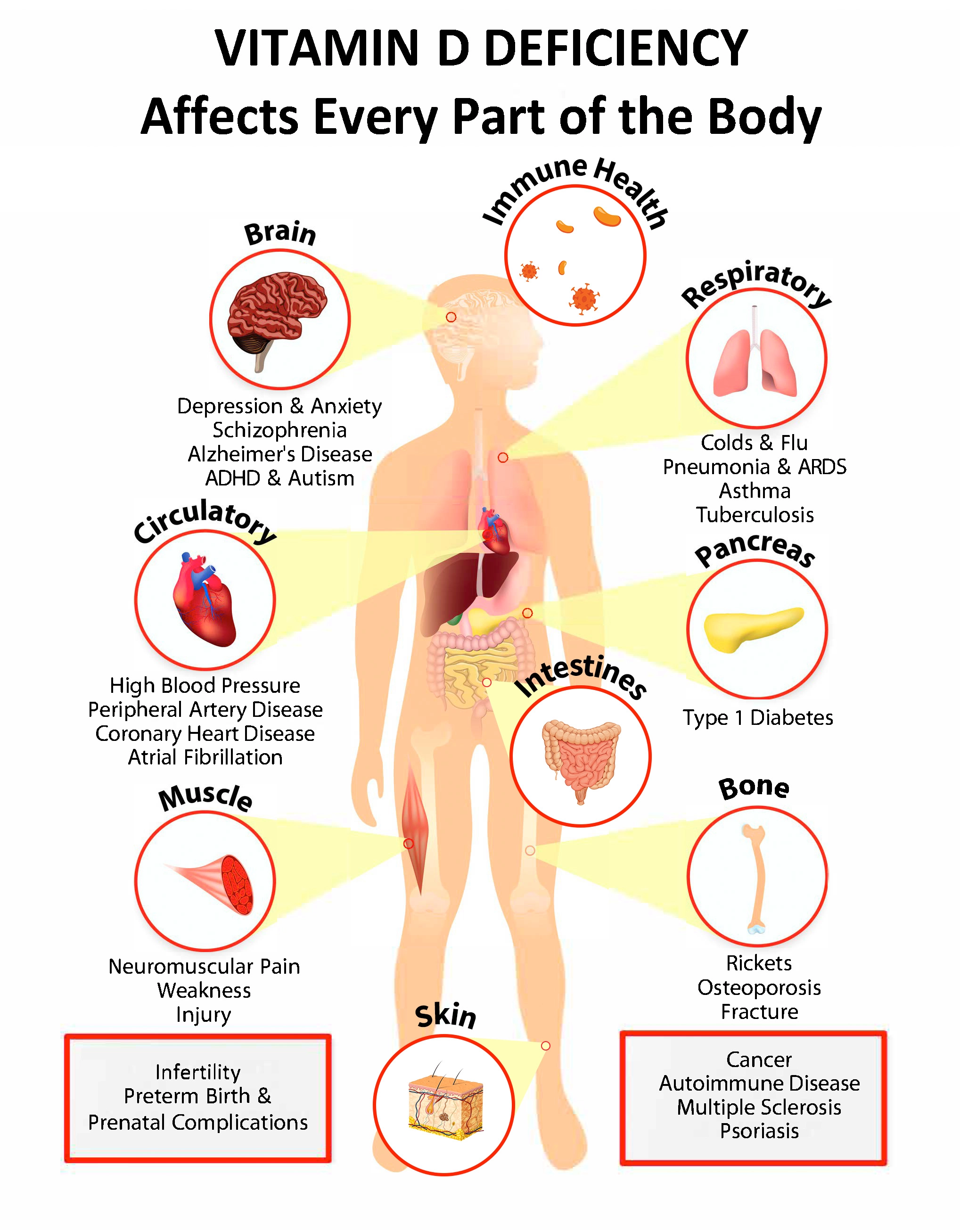 The Importance of Vitamin D in the Body