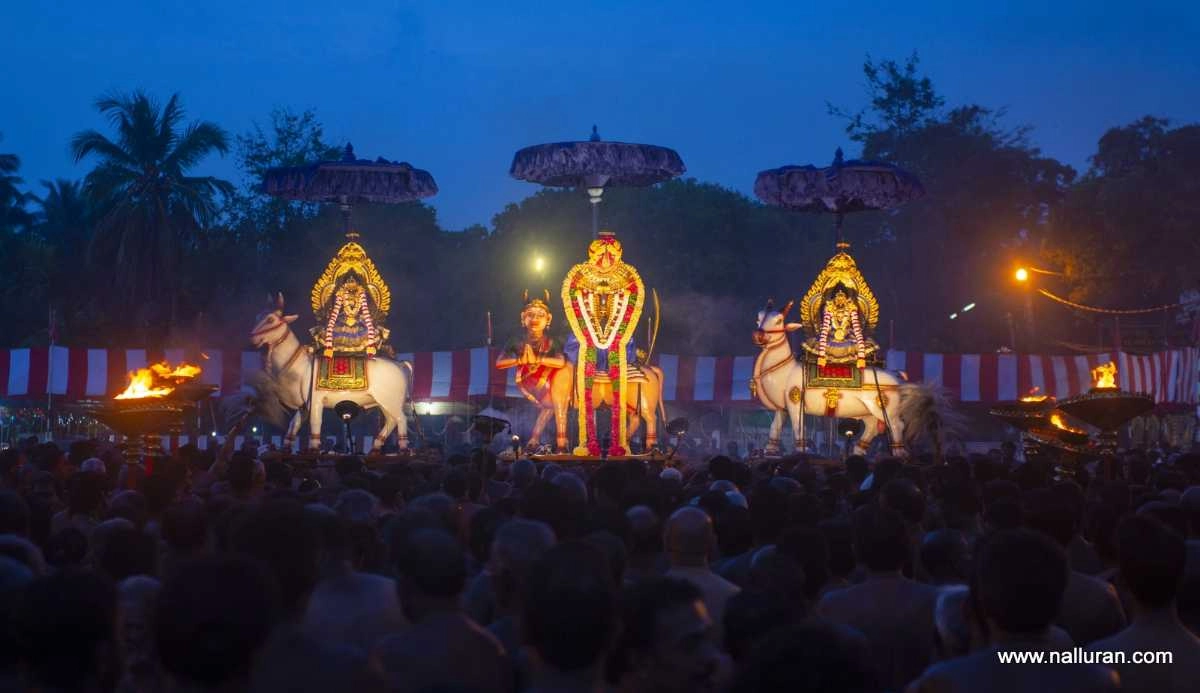 Cultural Traditions and Festivals in Sri Lanka
