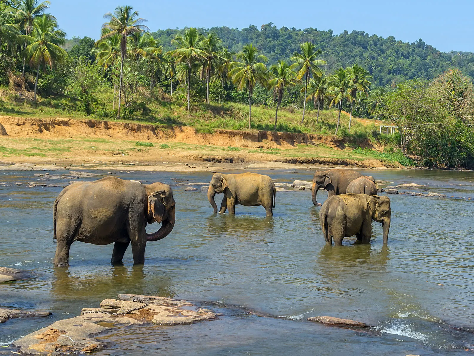 Geography and Wildlife of Sri Lanka