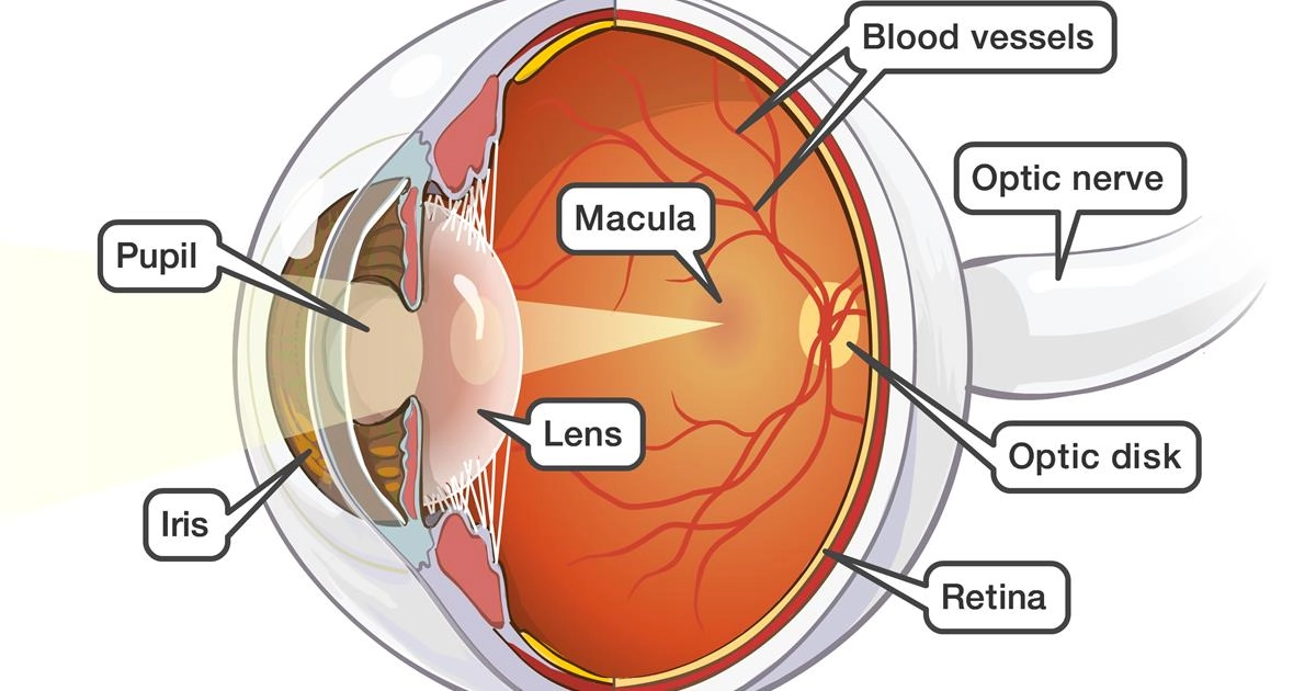 Preventing Diabetic Eye Complications