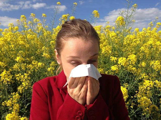 Effective Strategies for Managing Allergies During Extended Seasons