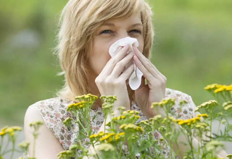 The Impact of Climate Change on Allergy Seasons
