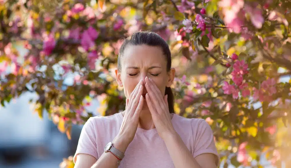Causes of Sinusitis in Spring and Summer