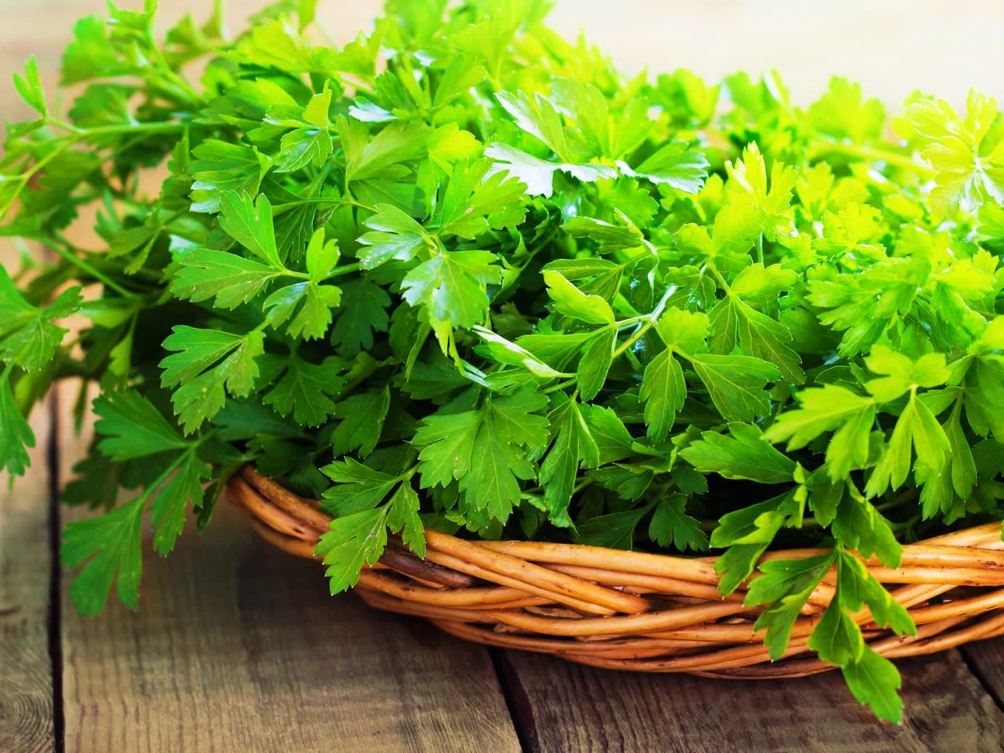The Nutritional Benefits of Parsley
