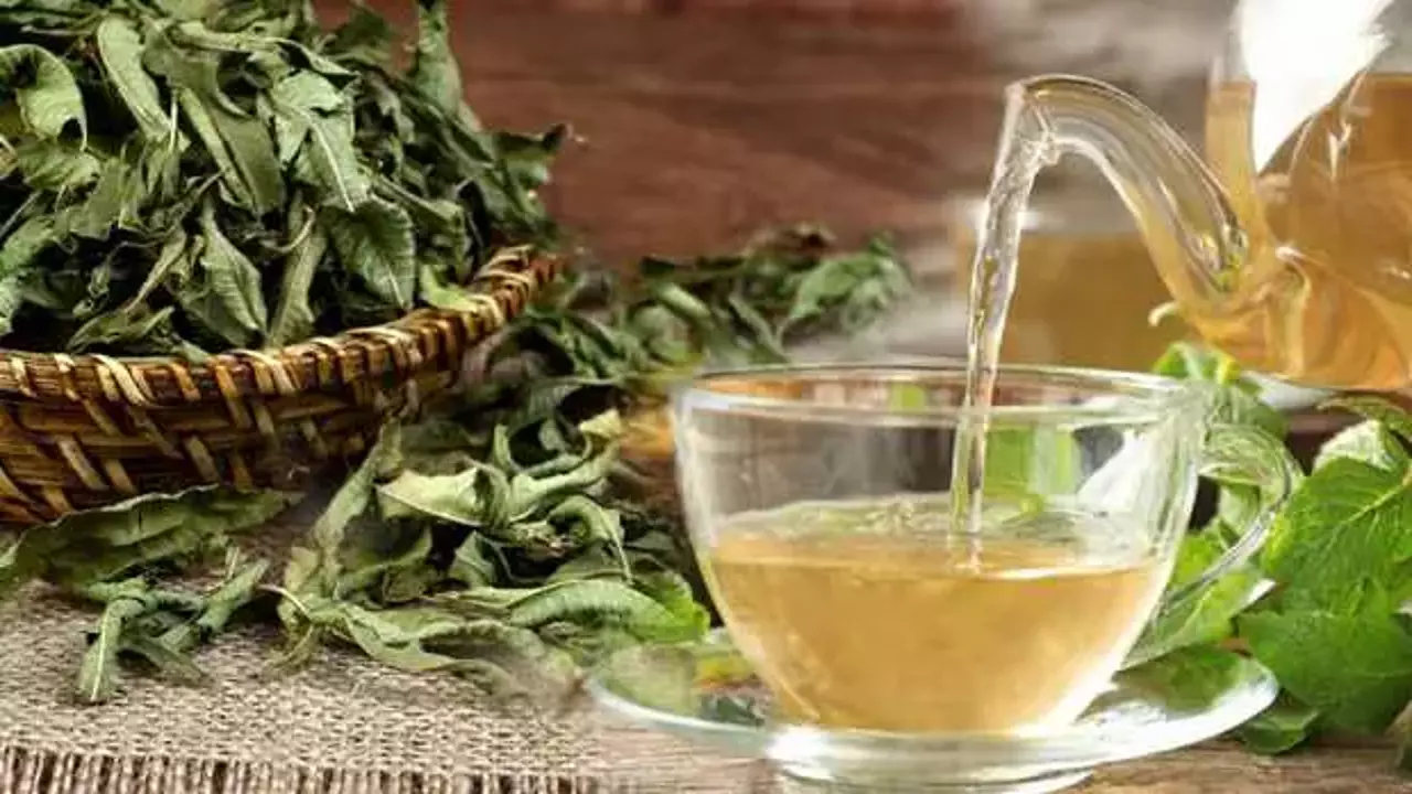 How to Prepare and Enjoy Melisa Çayı